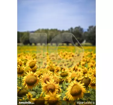 Sonnenblumenfeld Aufkleber - TenStickers