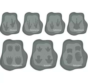 Wandtattoo Dinosaurier Fußspuren - TenStickers
