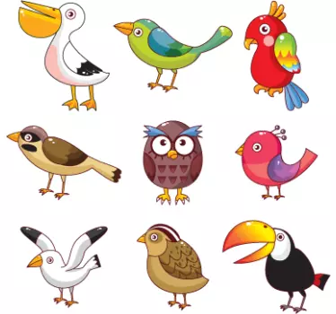 Vogelarten Aufkleber - TenStickers