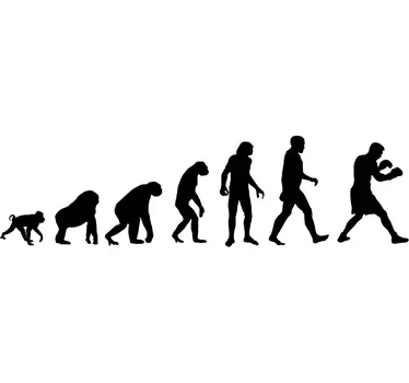 Wandtattoo Evolution zum Boxer - TenStickers