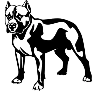 Wandtattoo Silhoulette Pitbull - TenStickers