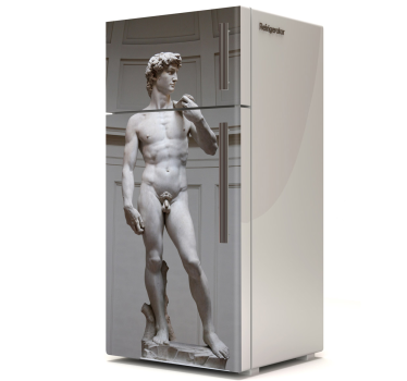 Kühlschrank Folie David Michelangelo - TenStickers