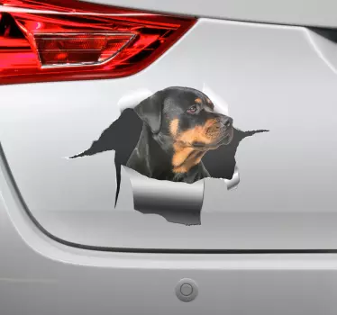 Haustier Aufkleber Rottweiler Loch Aufkleber - TenStickers