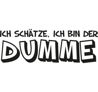 Pärchen T Shirts ihr idiot und sein dummes ding - TenStickers