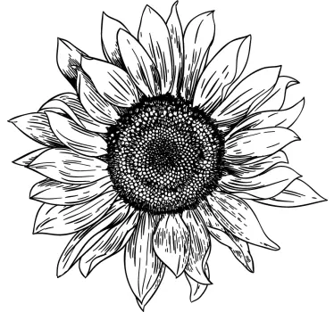 Original t shirt mit sonnenblumenblüten-design - TenStickers