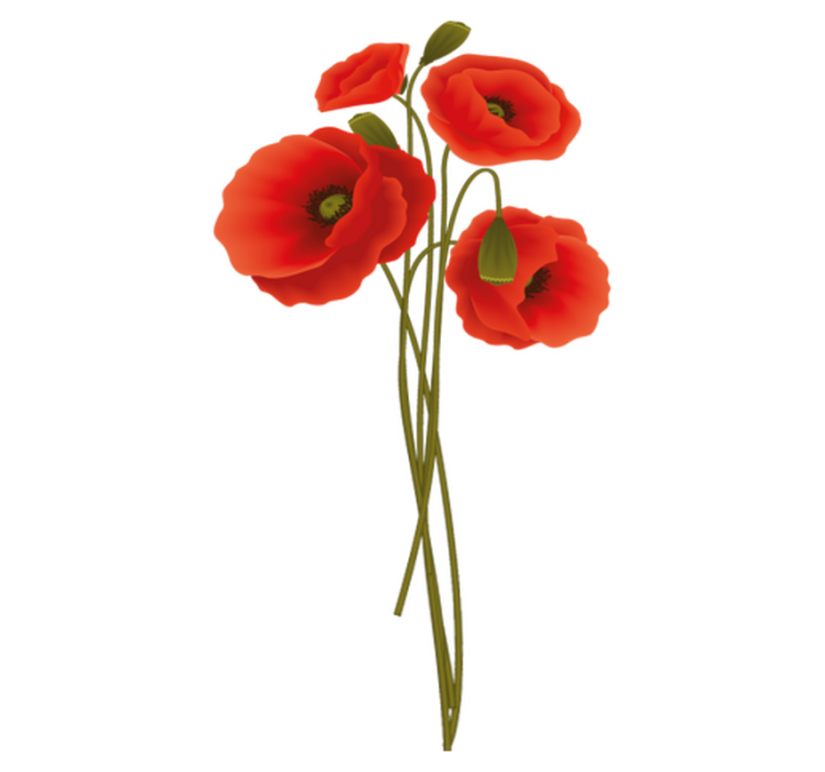 Vinyl teppich badezimmer zarte mohnblumen - TenStickers