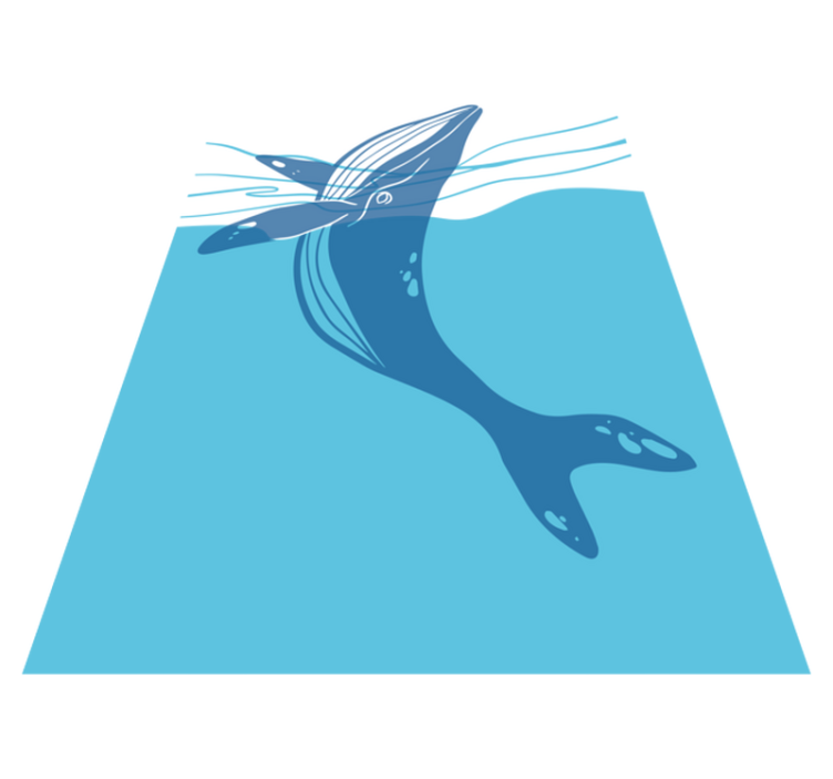 Vinyl teppich badezimmer mit walfisch duschstickern - TenStickers
