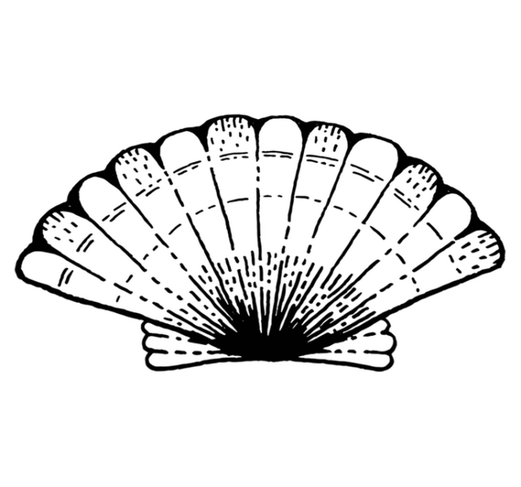 Vinyl Teppich Natur muschel-akzent - TenStickers