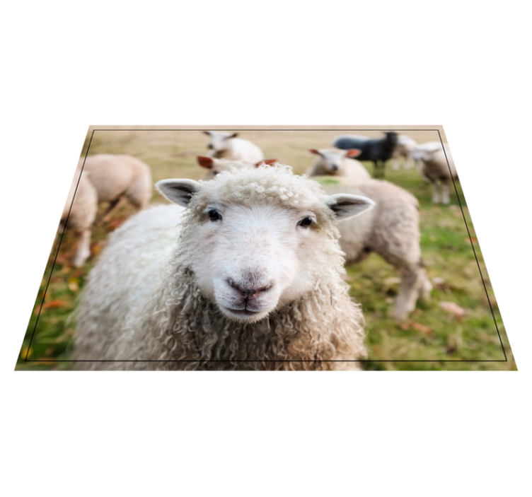 Vinyl Teppich Tiere lockiges schafsgesicht - TenStickers