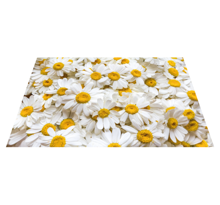 Vinyl Teppich Badezimmer gänseblümchenblüten-konzept - TenStickers
