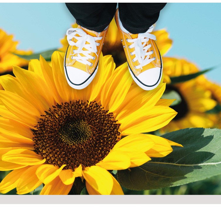 Vinyl Teppich Blumen helles sonnenblumen-design - TenStickers