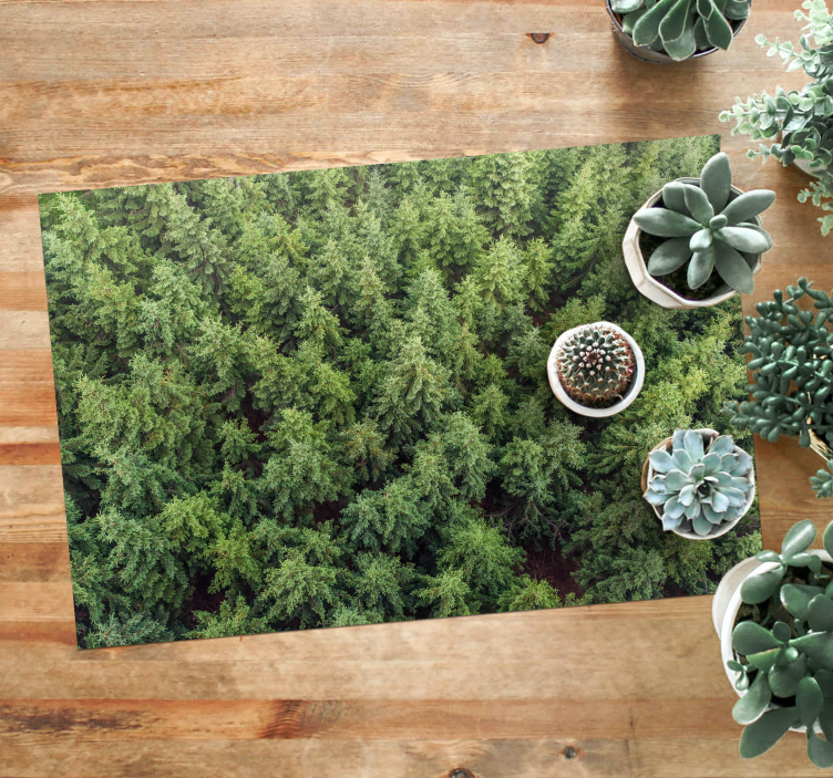 Vinyl Teppich Natur waldblick aus der luft - TenStickers