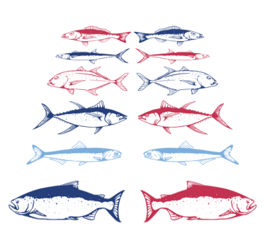 Vinyl teppich tiere handgezeichnete fische - TenStickers