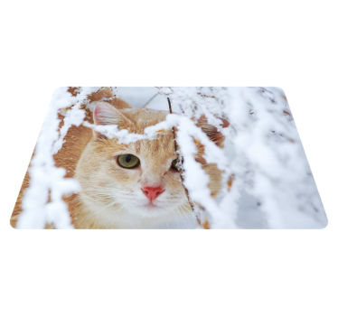 Vinyl teppich tiere katzen laptop aufkleber mit tropfstein - TenStickers