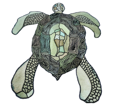 Vinyl teppich tiere klassische schildkröte - TenStickers