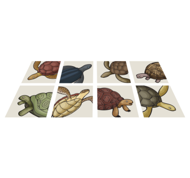 Vinyl teppich tiere mit verschiedenen schildkrötenmotiven - TenStickers