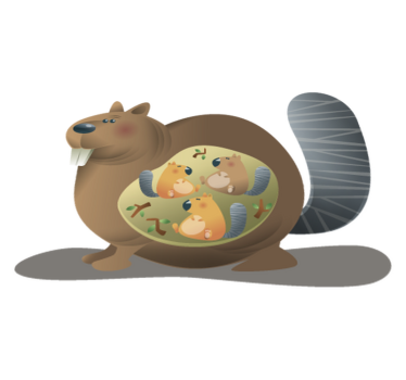 Vinyl teppich tiere eichhörnchen mutter - TenStickers