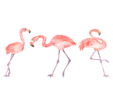 Vinyl teppich tiere elegantes flamingo trio - TenStickers