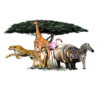 Vinyl teppich tiere giraffenfamilie safari - TenStickers
