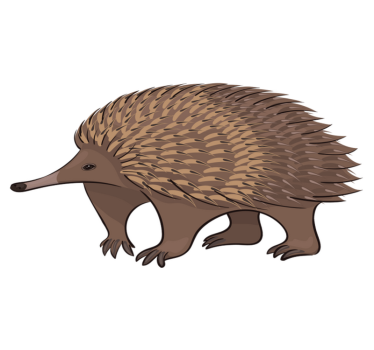 Vinyl teppich tiere freundlicher igel charakter - TenStickers