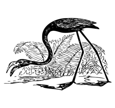 Vinyl teppich tiere flamingo mit farnen - TenStickers