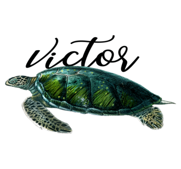 Vinyl teppich tiere mit anpassbarem schildkrötenmotiv - TenStickers