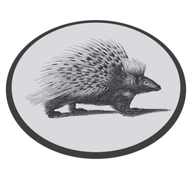 Vinyl Teppich Tiere stachelschweinillustration - TenStickers