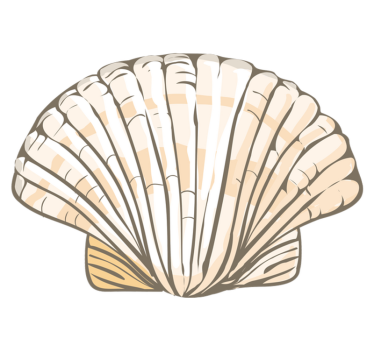 Vinyl Teppich Tiere muschelillustration - TenStickers