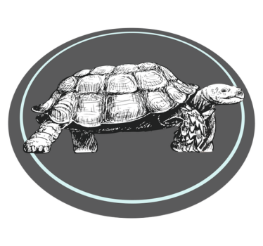 Vinyl Teppich Tiere illustrierte schildkröte - TenStickers