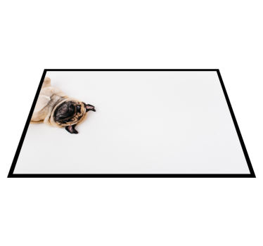 Vinyl Teppich Tiere mops-porträt-design - TenStickers