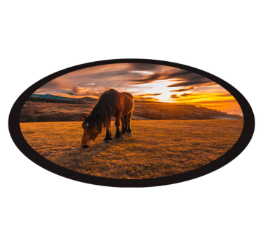 Vinyl Teppich Tiere majestätisches pferd beim fressen - TenStickers