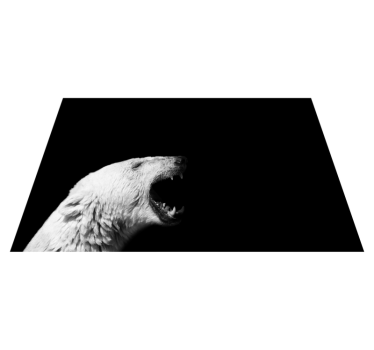 Vinyl Teppich Tiere eisbärenprofil - TenStickers