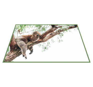 Vinyl Teppich Tiere koala-baumszene - TenStickers