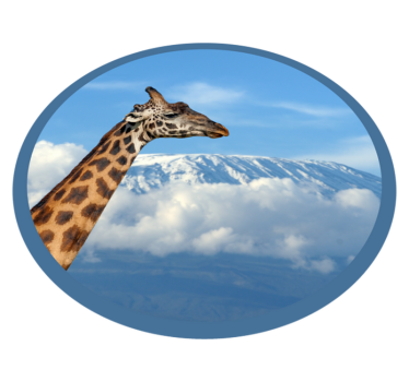 Vinyl Teppich Tiere majestätische giraffenansicht - TenStickers