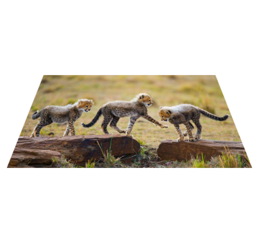 Vinyl Teppich Tiere abenteuer mit gepardenjungen - TenStickers