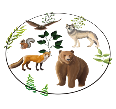 Vinyl Teppich kindlich freundliche waldbewohner - TenStickers