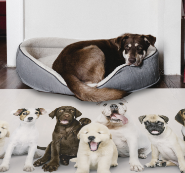 Hunde in einer linie tier vinyl teppich - TenStickers