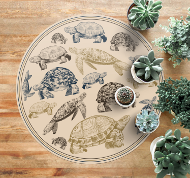 Schildkröte beige Hintergrund Tier Vinylteppich - TenStickers
