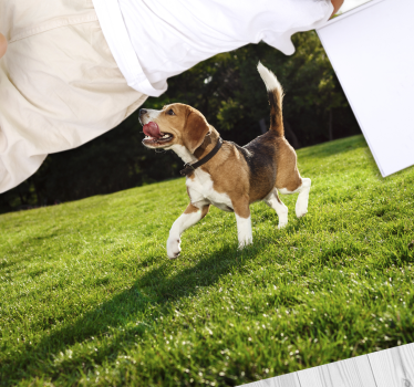 Vinyl Teppich Tiere glücklicher beagle beim laufen - TenStickers