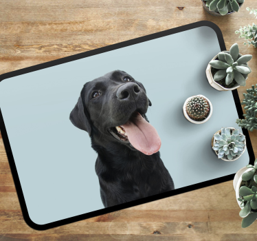 Vinyl Teppich Tiere schwarzer labradorhund - TenStickers