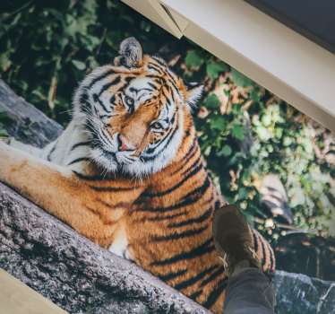 Vinyl Teppich Tiere majestätischer tiger liegend - TenStickers