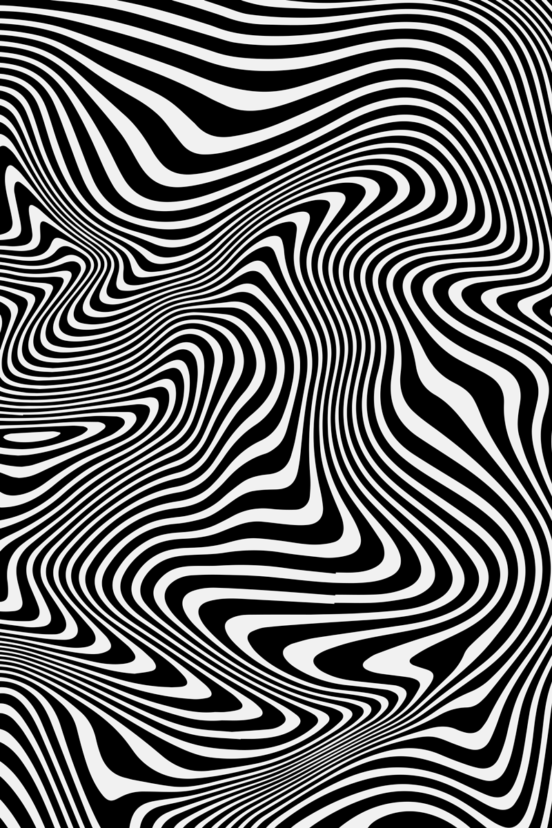 Vinyl teppich tiere mit 3d effekt zebra - TenStickers