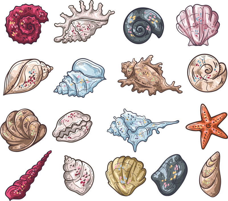 Vinyl teppich tiere muschelskizzen - TenStickers