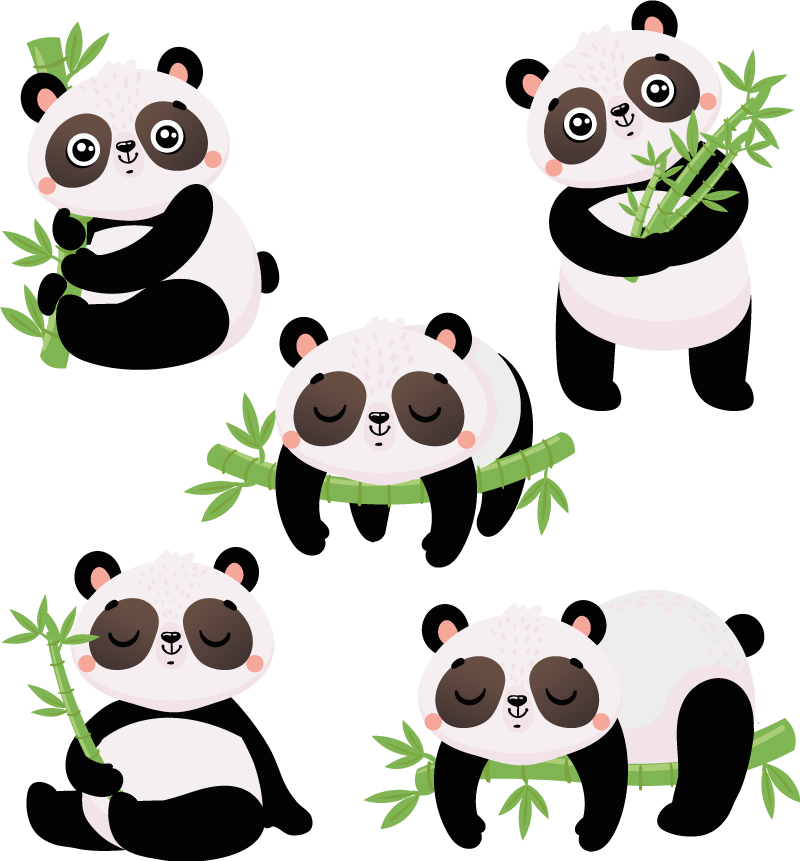 Vinyl teppich tiere mit niedlichen panda illustrationen - TenStickers