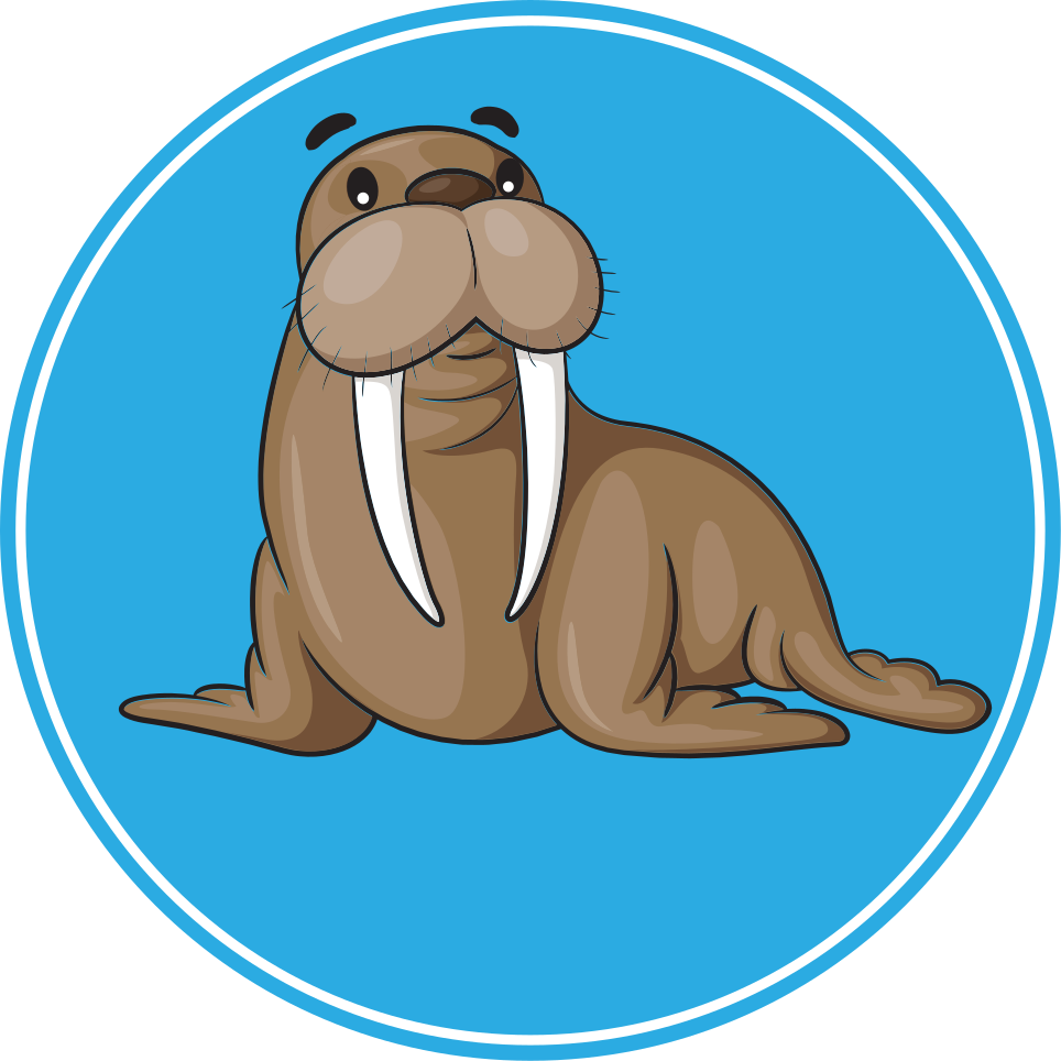Vinyl teppich tiere niedlicher walross charakter - TenStickers