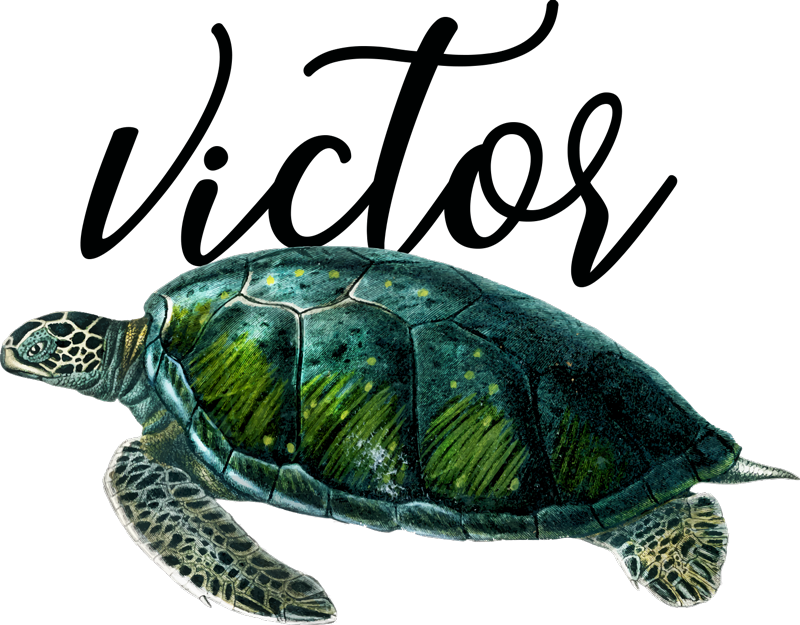 Vinyl teppich tiere mit anpassbarem schildkrötenmotiv - TenStickers