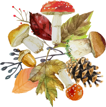 Vinyl teppich blumen mit herbstlichen elementen - TenStickers