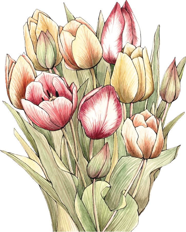 Vinyl teppich blumen buntes tulpenbouquet - TenStickers