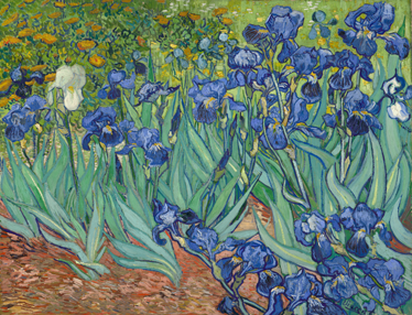 Vinyl teppich blumen im stil von van gogh - TenStickers
