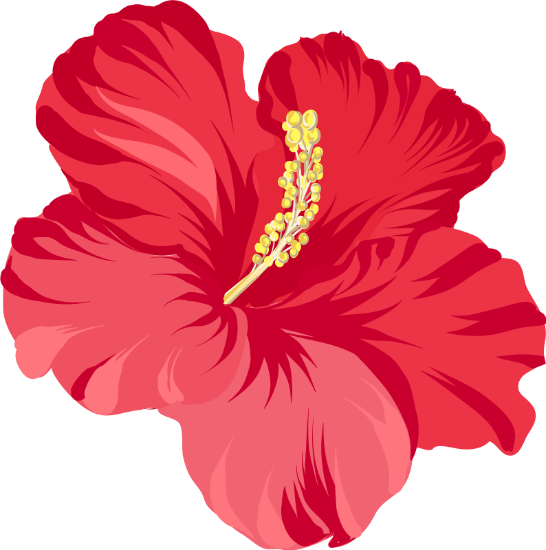 Vinyl teppich blumen rotes hibiskusblüten set - TenStickers